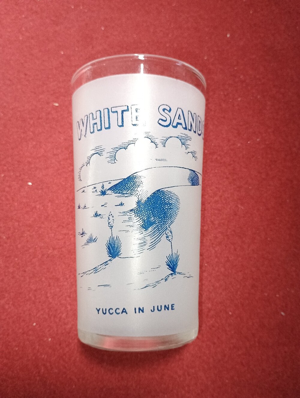 White Sands, New Mexico Frosted State Souvenir Glass 5 in tall